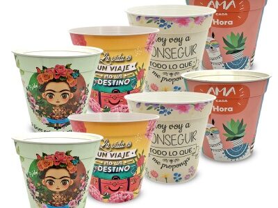 Maceta Decorada 10 cm