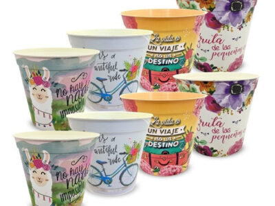 Maceta Decorada 12 cm