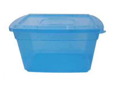 Caja Organizadora 10 Lts.