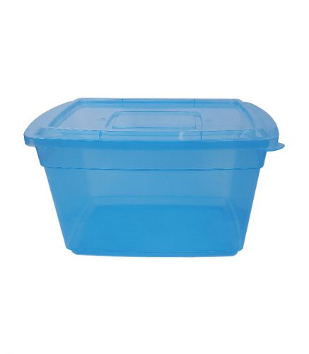 Caja Organizadora 10 Lts.