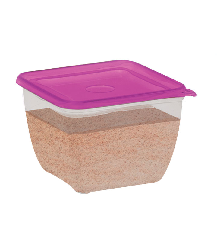 Hermético Picnic Cuadrado 1380 ml