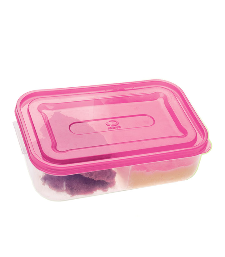 Hermetico Picnic rectangular 3,9L c/div.